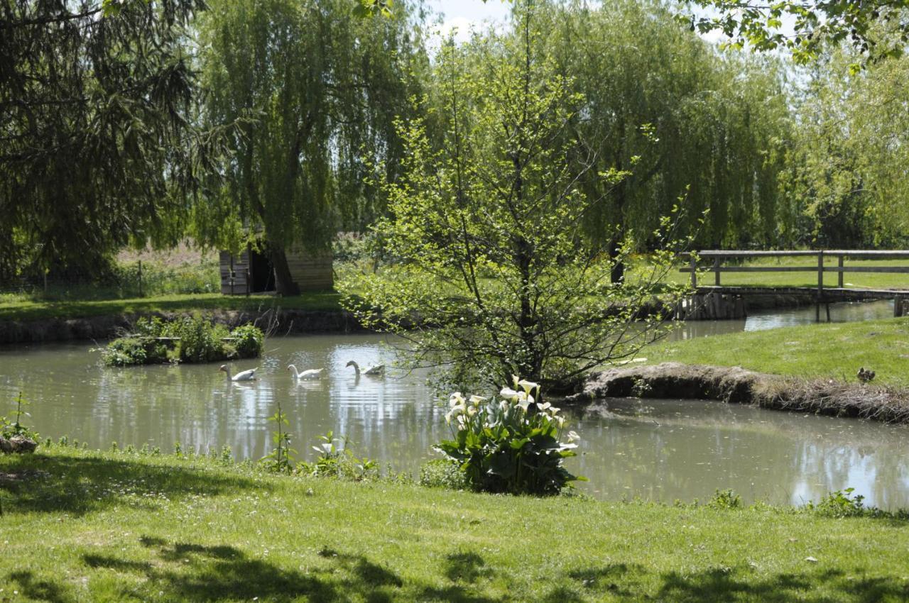 Domaine Ramonjavel, Glamping & Alpaca'S Bed & Breakfast Fongrave Bagian luar foto
