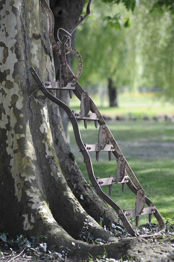 Domaine Ramonjavel, Glamping & Alpaca'S Bed & Breakfast Fongrave Bagian luar foto