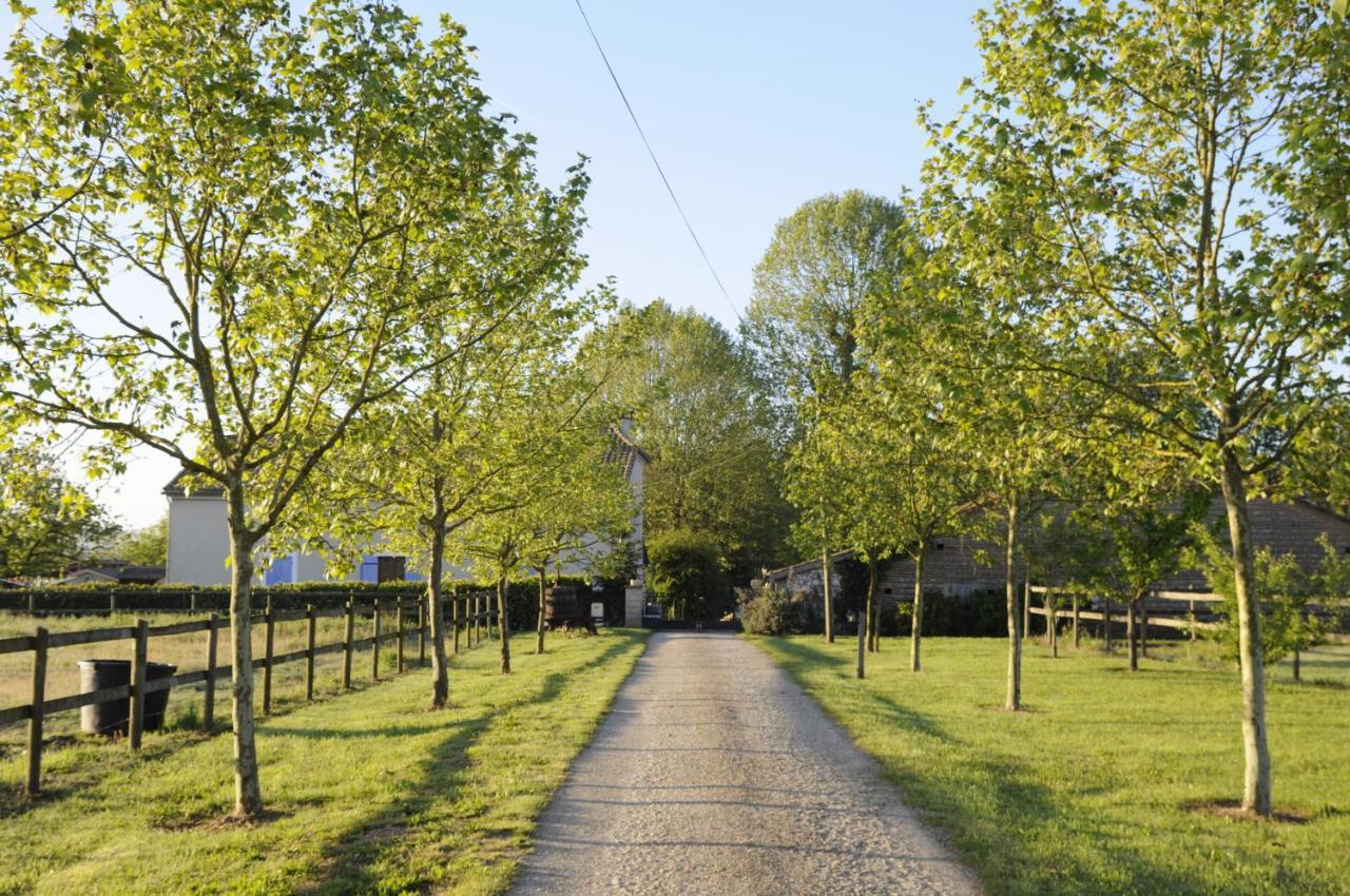 Domaine Ramonjavel, Glamping & Alpaca'S Bed & Breakfast Fongrave Bagian luar foto