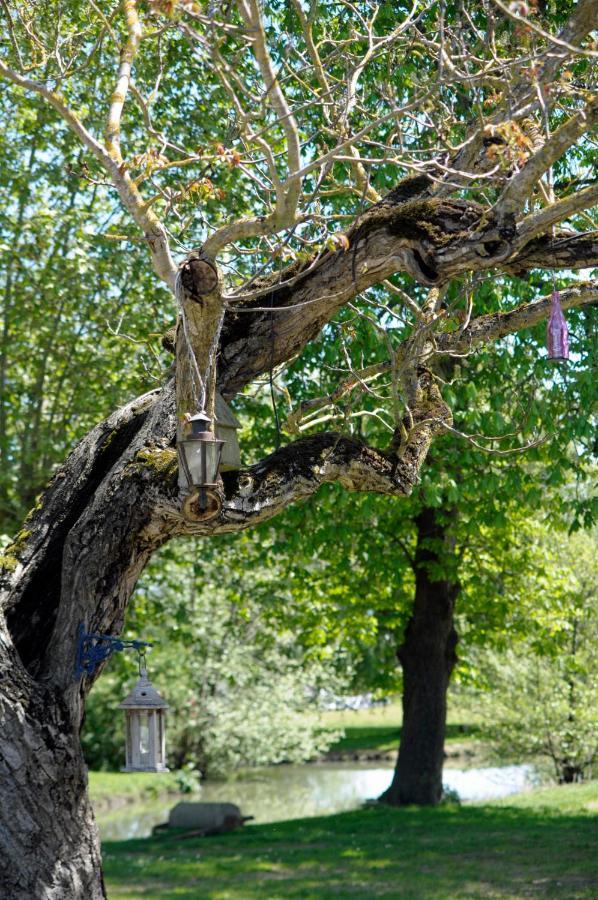 Domaine Ramonjavel, Glamping & Alpaca'S Bed & Breakfast Fongrave Bagian luar foto