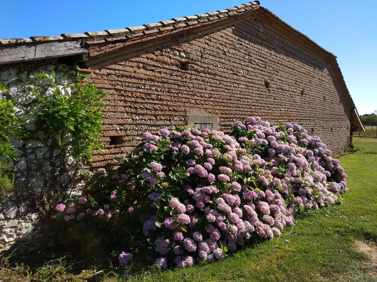 Domaine Ramonjavel, Glamping & Alpaca'S Bed & Breakfast Fongrave Bagian luar foto