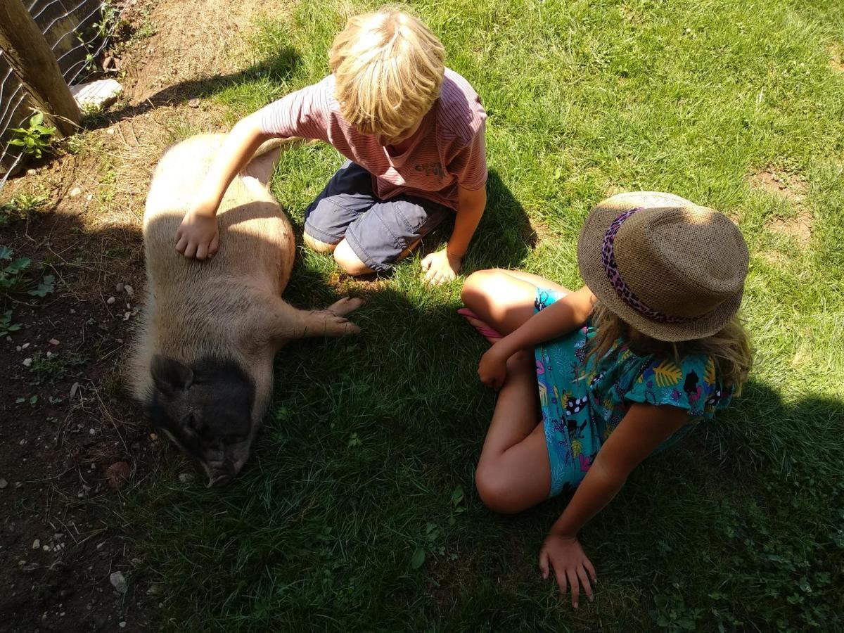 Domaine Ramonjavel, Glamping & Alpaca'S Bed & Breakfast Fongrave Bagian luar foto