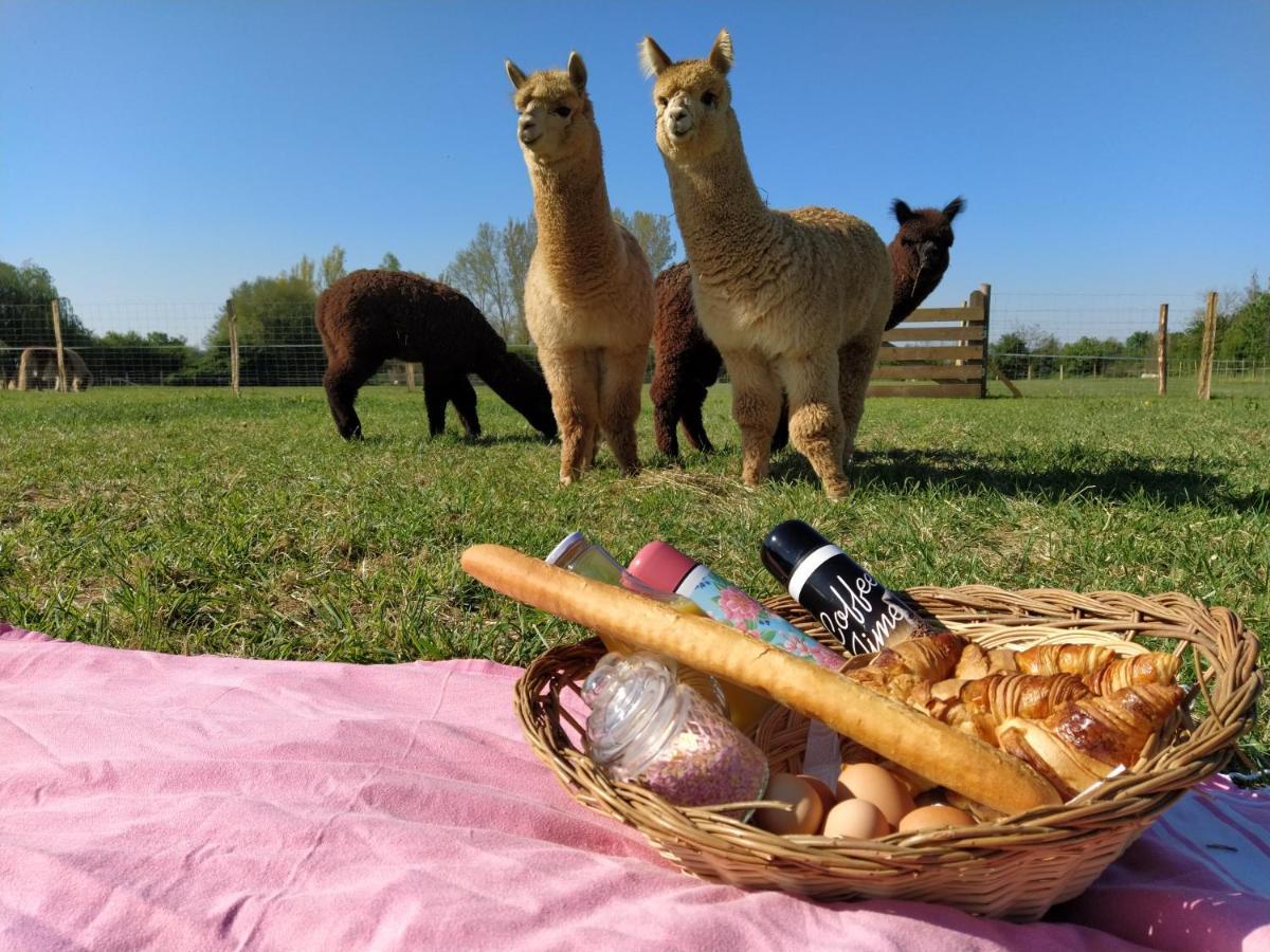 Domaine Ramonjavel, Glamping & Alpaca'S Bed & Breakfast Fongrave Bagian luar foto