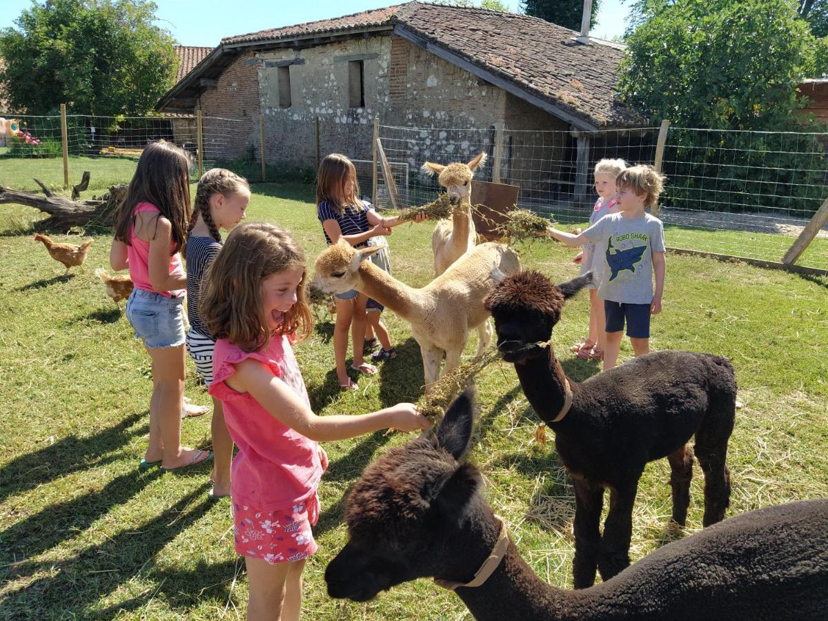 Domaine Ramonjavel, Glamping & Alpaca'S Bed & Breakfast Fongrave Bagian luar foto