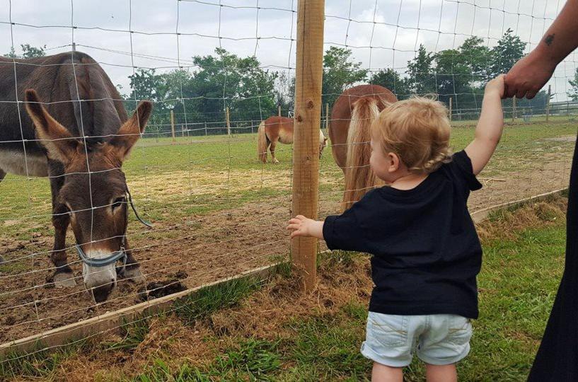 Domaine Ramonjavel, Glamping & Alpaca'S Bed & Breakfast Fongrave Bagian luar foto
